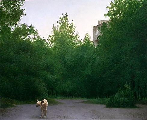  пейзаж собака одиночество город