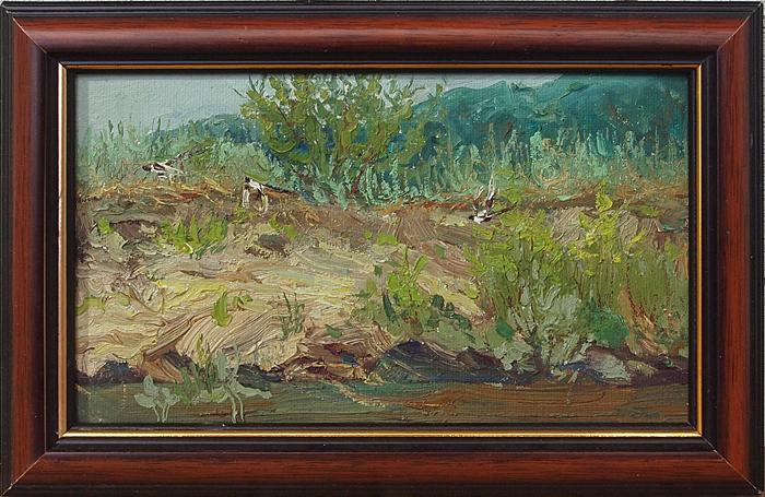  пейзаж река лето