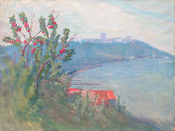  Ульяновск Винновка Волга сад яблони лето пейзаж