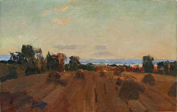  пейзаж Волга лето поля стога