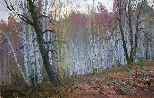  лес осень пейзаж