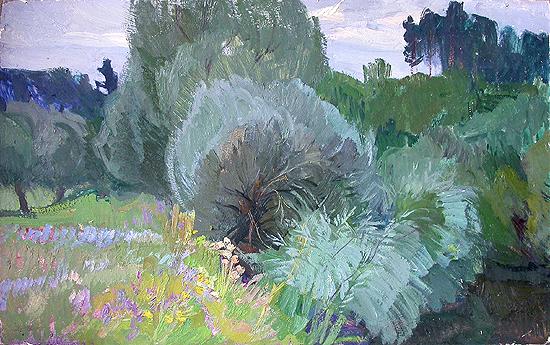  пасмурно пейзаж Чиберчинка луга пойма лето ветлы